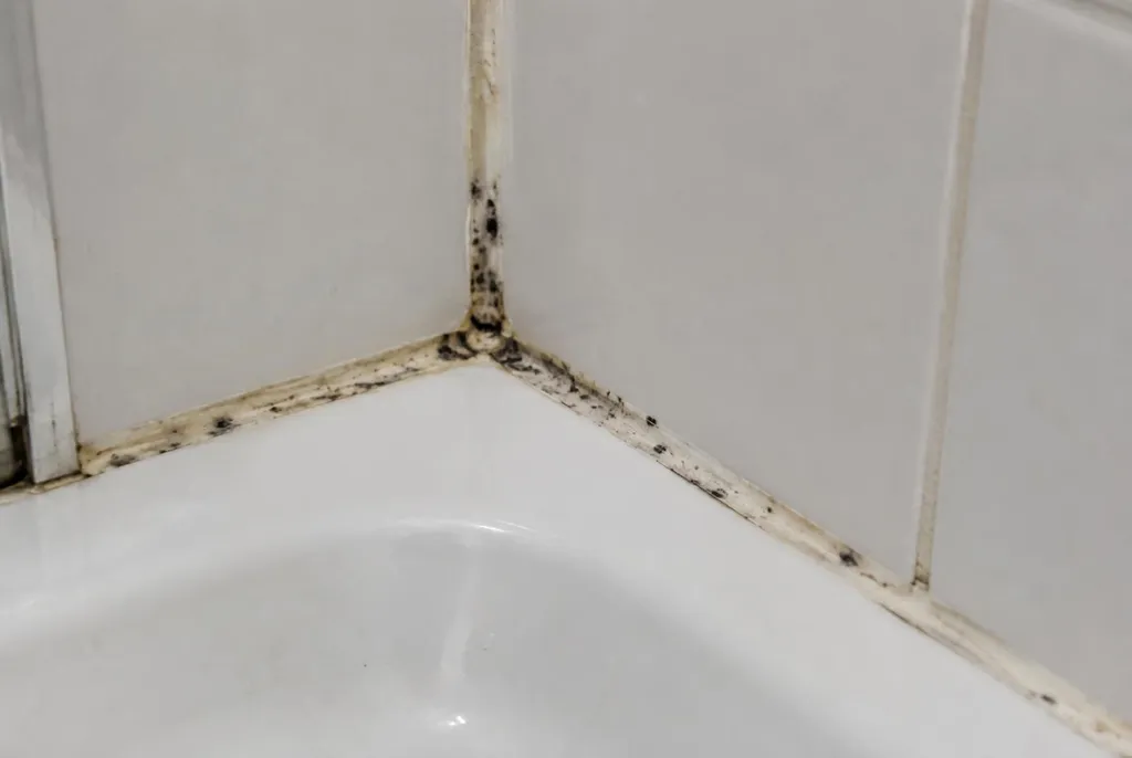 Kitbedrijf Tienhoven – beschimmelde kitranden